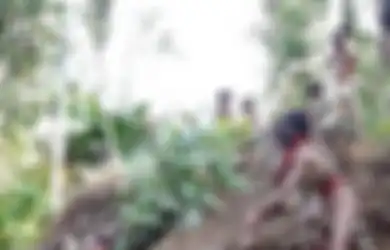 Disebut Serang Warga dengan Panah, Suku Togutil Ternyata Sedang Terancam Kehidupannya, Banyaknya Pembukaan Lahan Membuat Mereka Makin Terjepit dan Tersingkir