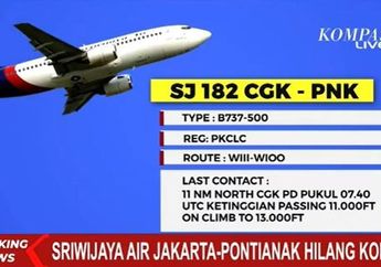 Dirut Sriwijaya Air Sebut Pesawat SJ 182 yang Telah Berusia 26 Tahun Berangkat dalam Kondisi Sehat Sebelum Jatuh di Kepulauan Seribu