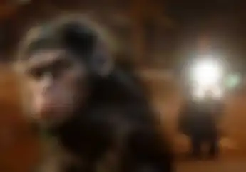 Horor! Pengakuan Joki Tentang Ilmu Monyet di Balap Liar