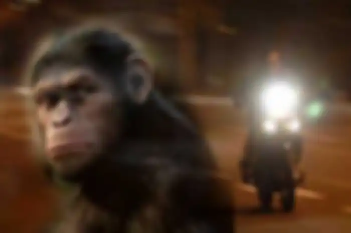 Beberapa joki balap liar diyakini punya ilmu monyet