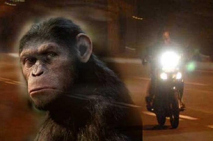 Beberapa joki balap liar diyakini punya ilmu monyet