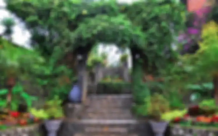 Edensor Hills Cafe & Resto