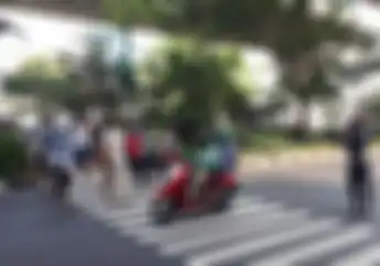 Biar Enggak Gaptek, Ini Bedanya 'Pelican Crossing' Dengan 'Zebra Cross'