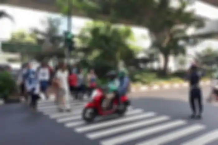 Pelican Crossing