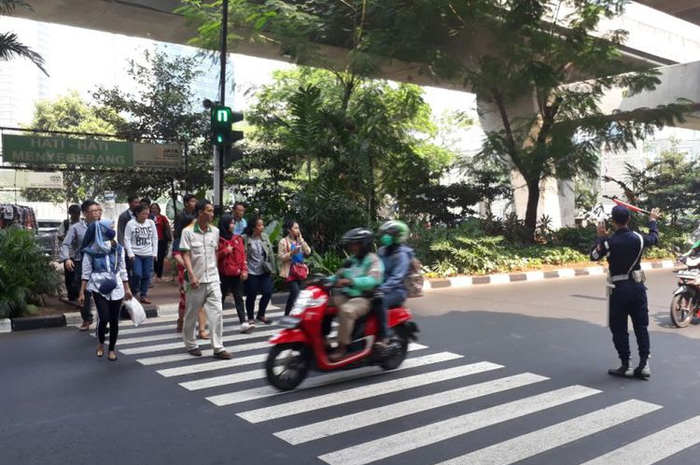 Pelican Crossing