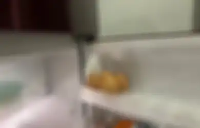 Aneka Tips Hari Ini, Kinerja Kulkas Tak Lagi Maksimal? Berikut Cara Memperbaiki Pintu Kulkas Tak Bisa Tertutup Rapat