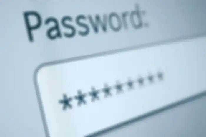Ilustrasi password
