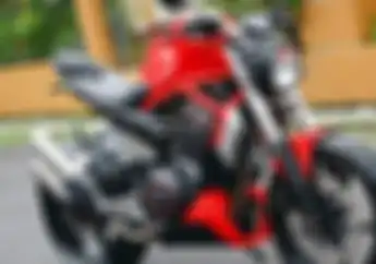 Mau Beli Moge Apa Daya, Honda Tiger Monster Pun Dibangun Demi Passion