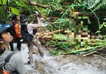 Teori Analisis Yazid Ahmad Firdaus Pendaki Mongkrang yang Hilang dan Ditemukan Meninggal, Disebut Relawan Ingin Beri Kejutan