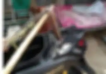 Gak Cuma Kucing, Hewan Ini Sering Nyelip Masuk Dalam Motor, Ada Yang Berbahaya!