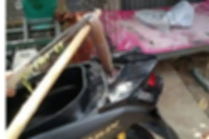 Tidak hanya kucing, beberapa hewan ini sering nyelip masuk ke dalam motor, ada yang lumayan berbahaya nih!