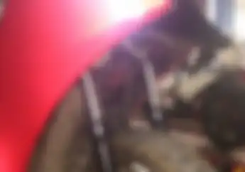 Ternyata Ini Penyebab Utama Sokbreker Depan Sering Bocor