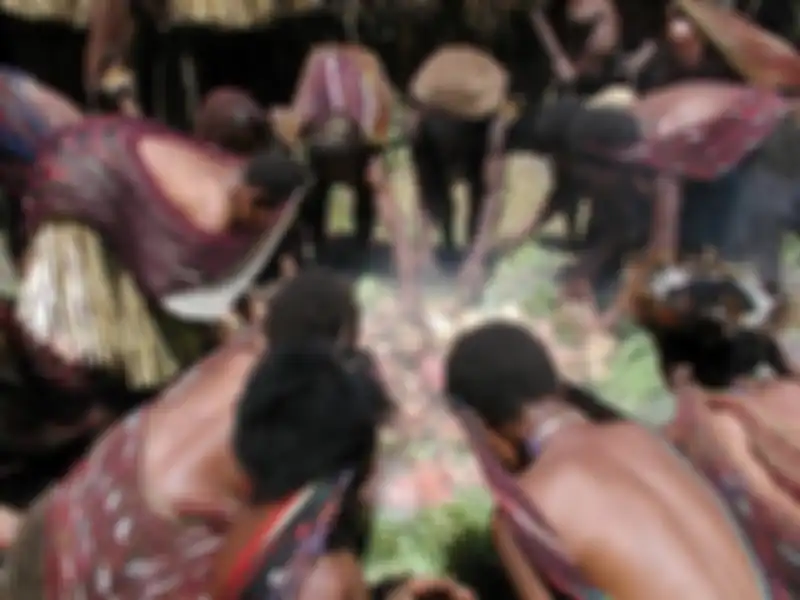 Ritual memasak dengan metode barapen di Lembah Baliem, Papua