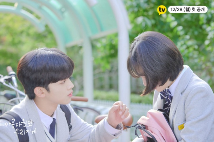 Drama 'A Love So Beautiful'