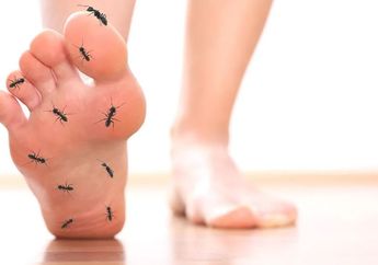 Arti Mimpi Digigit Semut Menunjukkan Kecemasan Seseorang karena Dihakimi oleh Orang Lain, Benarkah Demikian?