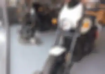 Enggak Nyangka, Ini Tipe Harley-Davidson Yang Jadi Incaran Untuk Dimiliki