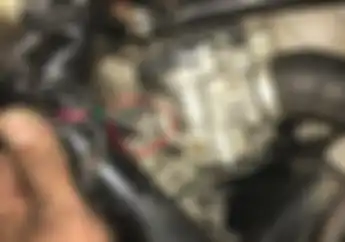 Ngeri, Tikus Jadi Salah Satu Penyebab Motor Mogok, Begini Mencegahnya