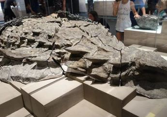 Panjangnya Capai 7 Meter, Fosil Makhluk Zaman Purba Ini Ditemukan Awet hingga ke Isi Perutnya, Seperti Apa?