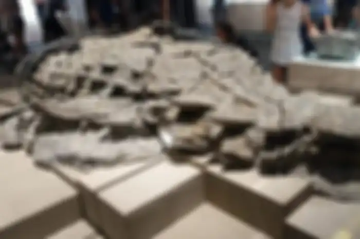 Fosil Dinosaurus Ditemukan Awet