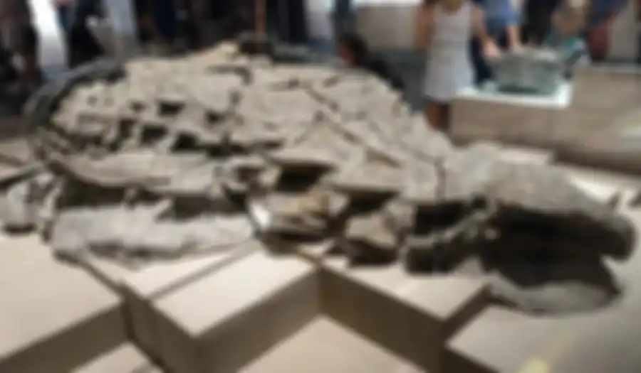 Fosil Dinosaurus Ditemukan Awet