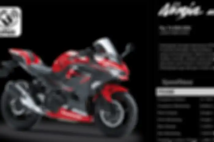 New Kawasaki Ninja 250 dilaunching November 2018.