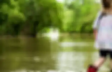 Musim Hujan Sudah Tiba, Waspada Serangan Hewan Buas Satu Ini, Efeknya Tak Main-main Hingga Bisa Ancam Nyawa Seisi Rumah!