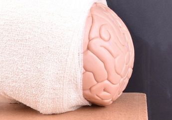 Menu Ini Ampuh Untuk Penyembuhan Cedera Otak Traumatis, Apa Saja sih?