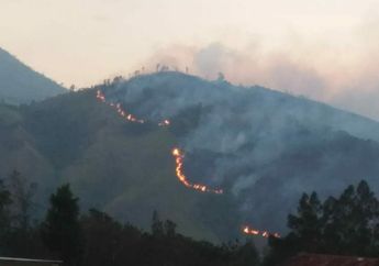Gunung Lawu Kebakaran, Semua Jalur Pendakian Sementara Ditutup