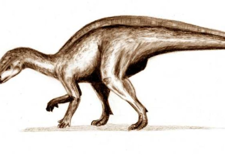 Rhabdodontid, Dinosaurus Khas Eropa dari Zaman Kapur Akhir yang Misterius