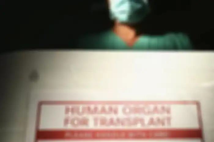 Human Organ