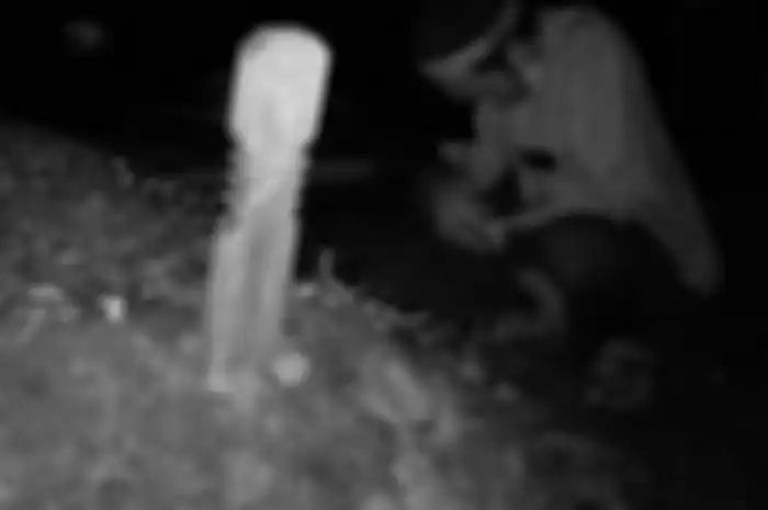 Ustaz Abdul Somad berduka. UAS mengunggah foto dirinya bersimpuh di atas makam yang masih basah. 