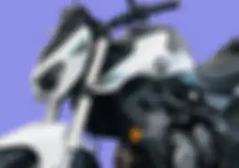 Bocor Penampakan Harley Buatan China, Tampang Sangar Mesin 350 cc 2 Silinder