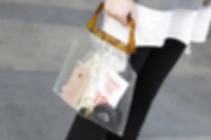 transparent bag