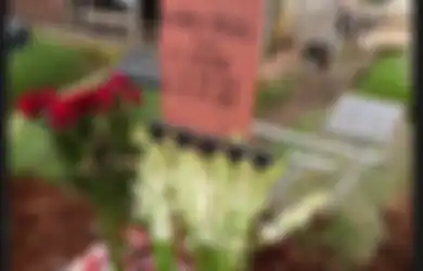 Innalillahi Wa Innailaihi Rojiun, Aktris Cantik Pemeran Mak Lampir Misteri Gunung Merapi Meninggal Dunia, Sempat Berjuang Lawan Vertigo Tak Terselamatkan Usai Terpapar Virus Ini