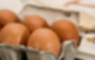 Ibu-ibu Bisa Bernafas Lega, Berikut Update Harga Sembako Telur Ayam Ras di Tingkat Peternak hingga Eceran Gunungkidul yang Alami Penurunan