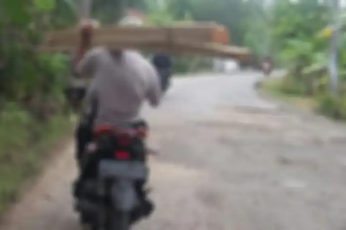 Aksi Nekad Pemotor Bawa Kayu 