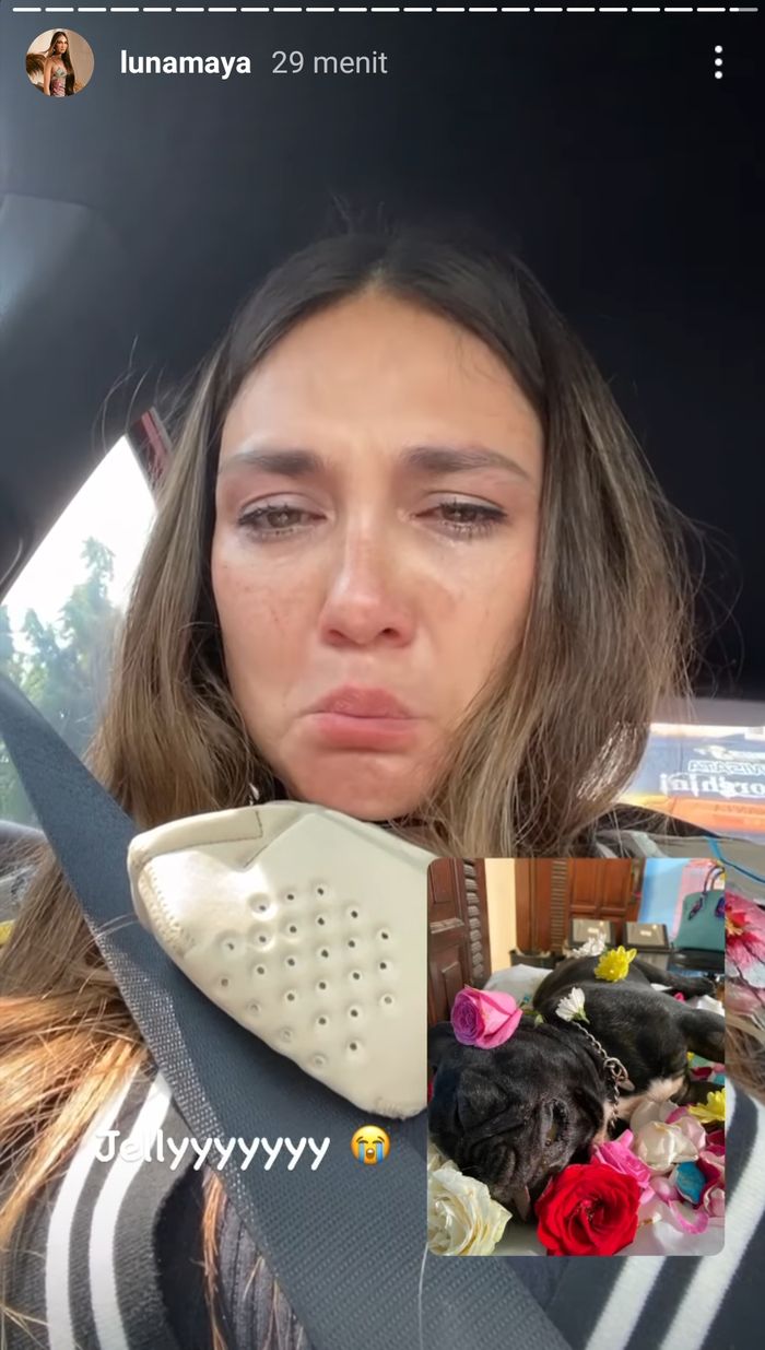 Luna Maya berurai air mata saat tahu anjing kesayangannya mati.