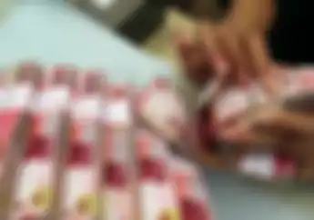 Masukkan Nomor KTP dan Tanggal Lahir Bantuan Rp 3,55 Juta Langsung Ditransfer Bro
