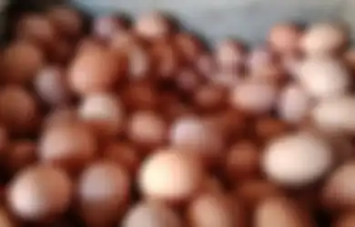 Ibu-ibu Bisa Bernapas Lega, Presiden Jokowi Soroti Harga Sembako Telur Ayam yang Melonjak, Sebut 2 Minggu Lagi Bakal Turun!