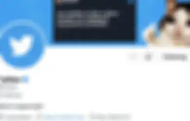Verifikasi Twitter Blue Bermasalah, Nitendo dan Valve Kena Imbasnya