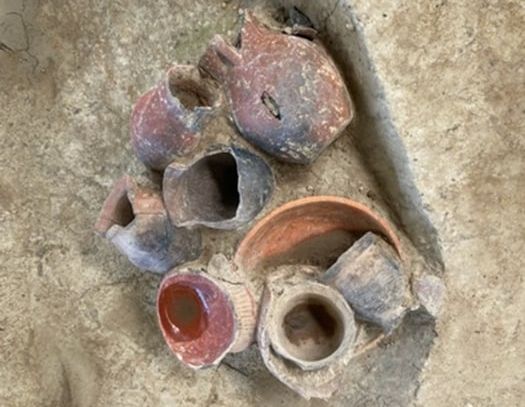 Mushuk bilan erkakning porno surati