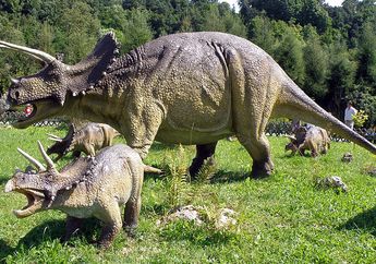 Triceratops, Fakta Dinosaurus Bertanduk Tiga yang Memukau Peneliti