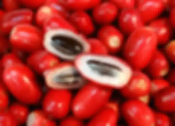 Miraccle Berry