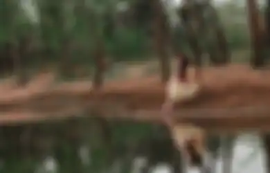 5 Weton Pemilik Aura Air yang Menenangkan Menurut Primbon Jawa