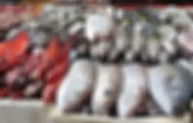 Bukan Salmon, Ikan Murah Meriah Ini Justru Mengandung Khasiat Berlipat Ganda Bikin Tubuh Sehat Sepanjang Usia