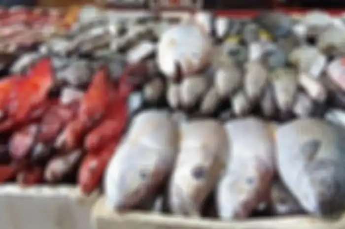 ikan ini lebih bergizi dari ikan salmon