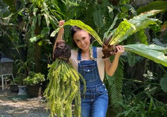 Bikin Gak Berkedip Mata, Intip Dandanan Yuni Shara yang Pede Pakai Celana Jeans Sobek Saat Sambangi Kampung Halaman, Outfit Anak Muda Masa Kini Banget!