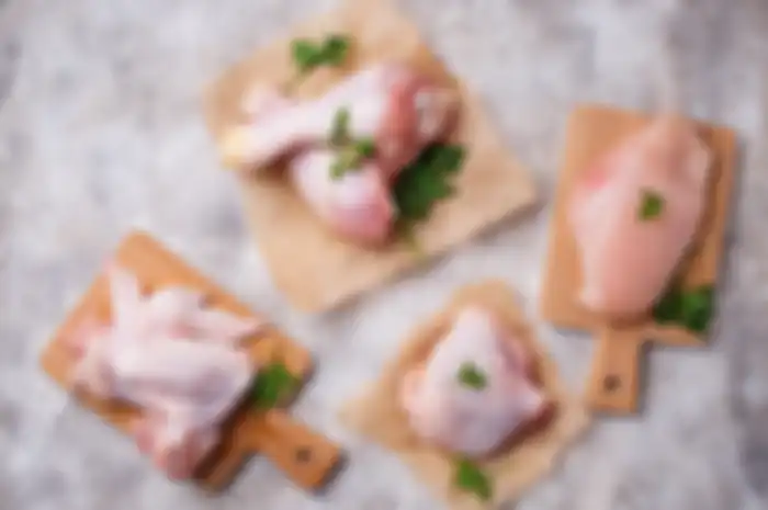 ilustrasi daging ayam potong atau ayam broiler
