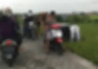 Viral, Video Jalur Neraka Canggu Bali, dari Motor Terperosok Sampai Mobil Terguling di Sawah
