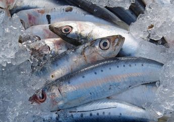 Bisa Bikin Umur Pendek, Tolong Jangan Makan 2 Bagian Ikan Ini Mulai Sekarang, Efek Sampingnya Langsung Terjadi dalam Hitungan Menit